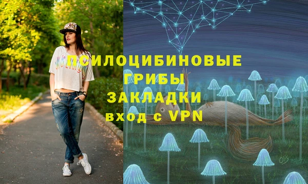 кокс Няндома