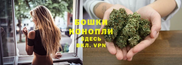 молекула духа Нязепетровск