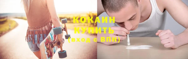 амф Новозыбков