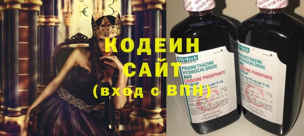 амф Новозыбков