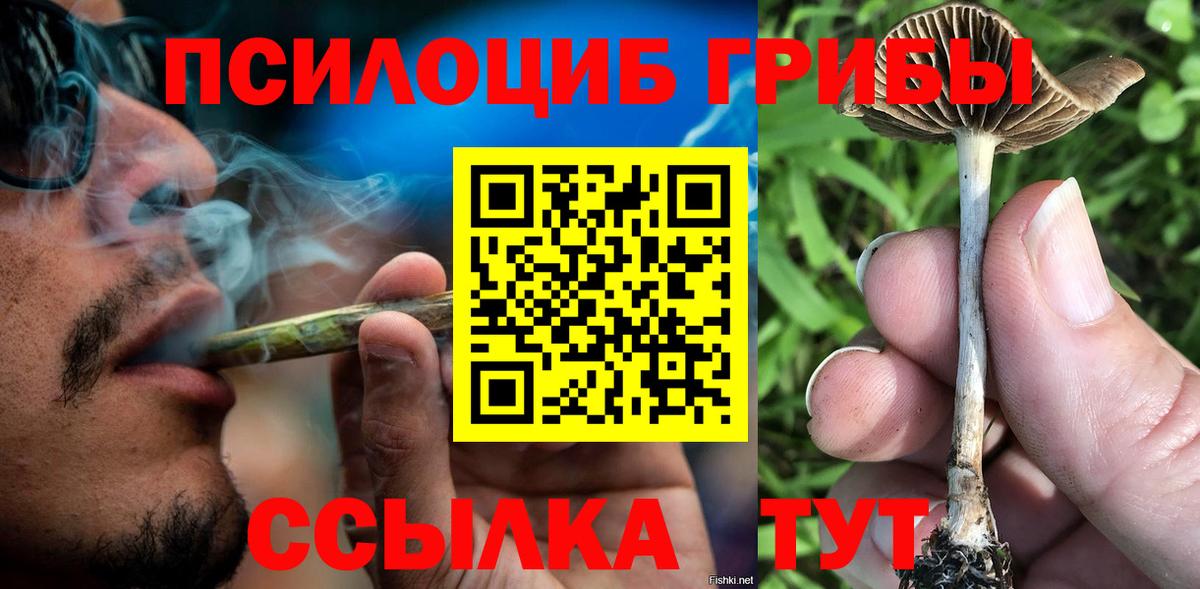 Псилоцибиновые грибы Magic Shrooms Партизанск