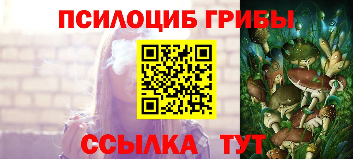 Галлюциногенные грибы мицелий  Вход с VPN  Партизанск  Псилоцибиновые грибы GOLDEN TEACHER 