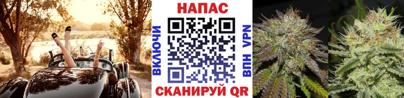 kraken вход  Партизанск  Бошки Шишки план 